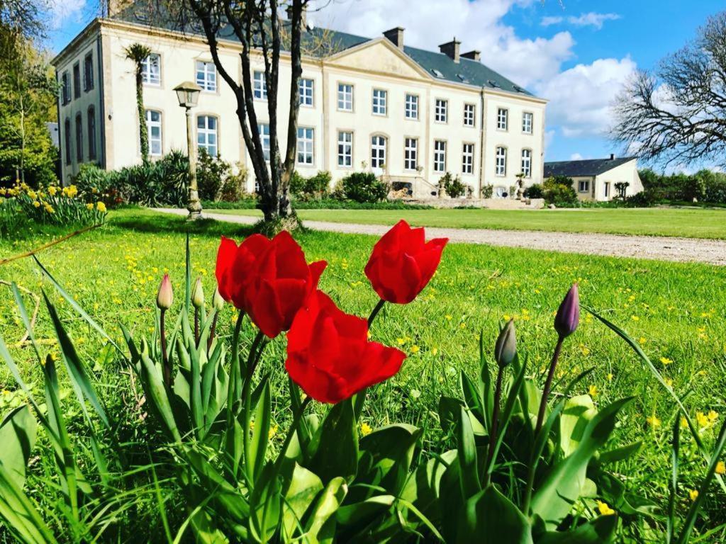 Hotel Du Chateau De 퀴네빌 외부 사진